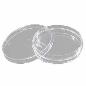 60 mm Dish (Box of 500 Pcs)